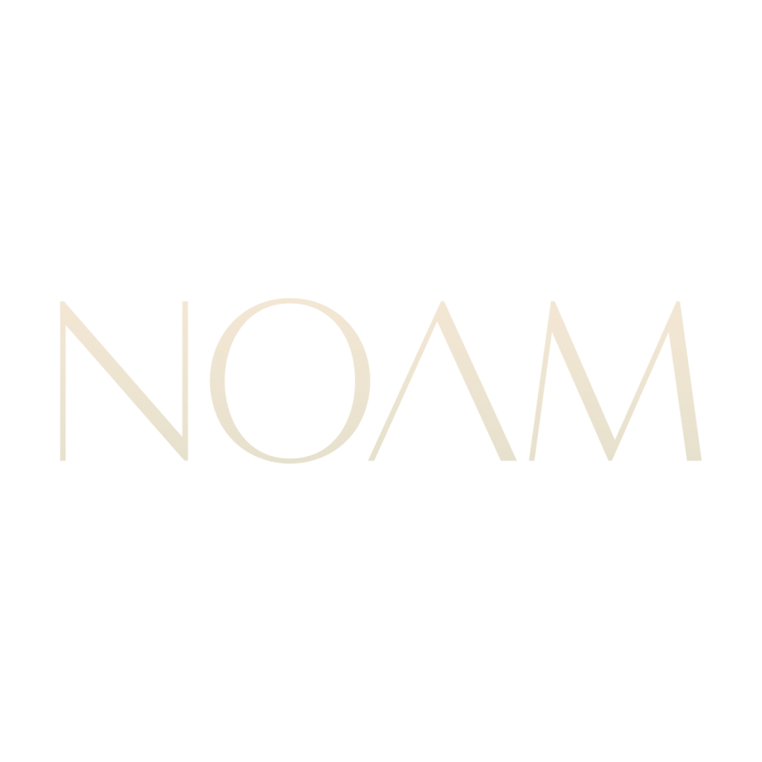Noam Group logo featured on the Do Not Disturb guest list