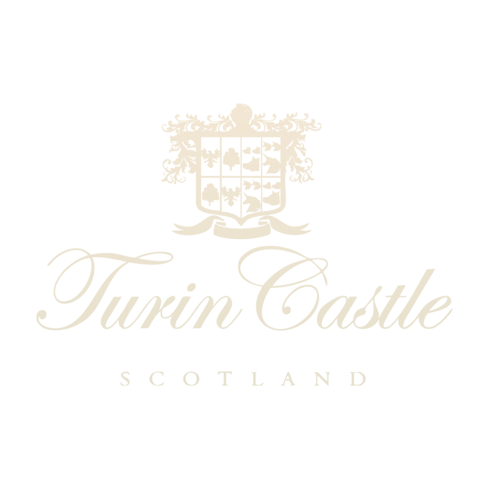 Turin Castle logo featured on the Do Not Disturb logo